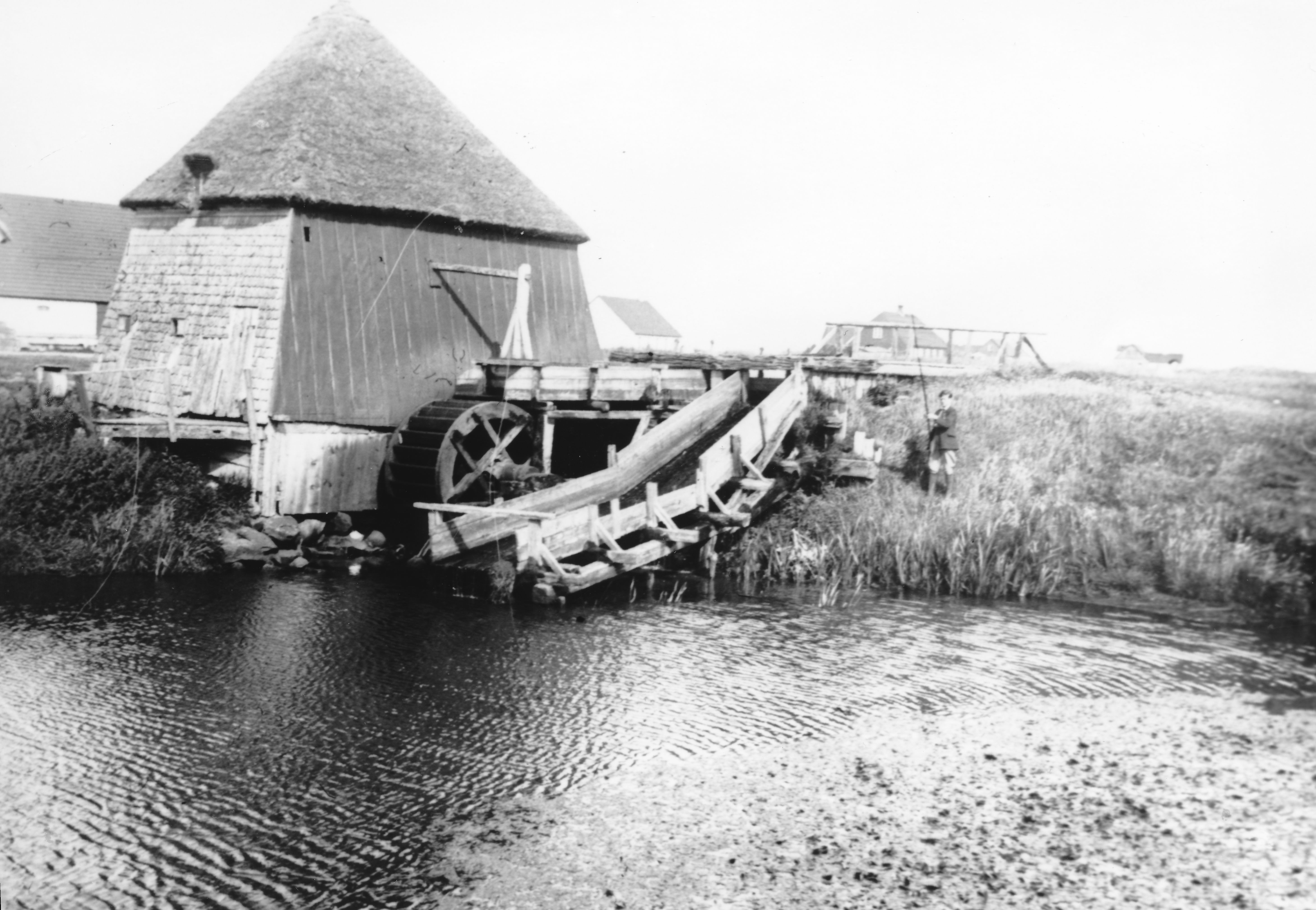 01 Matrnr 10 Vester Mlle