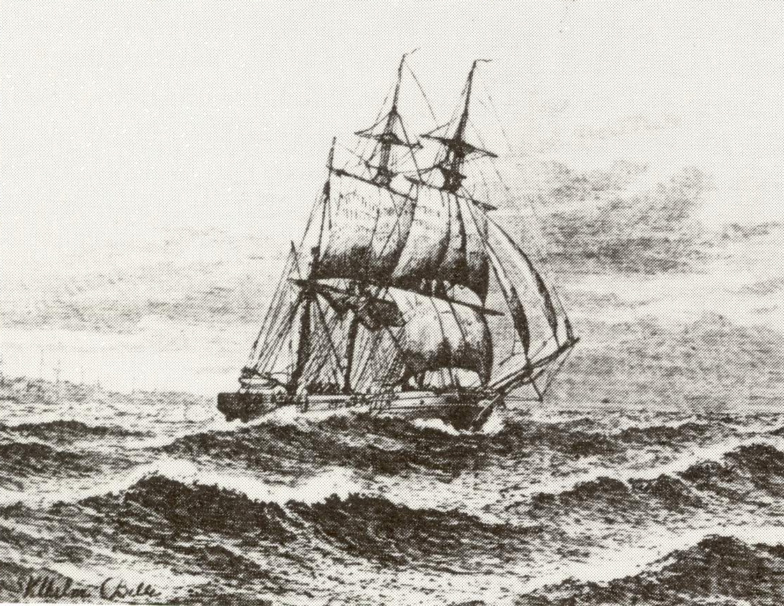 10 Matrnr 6ap Sleipner 1880