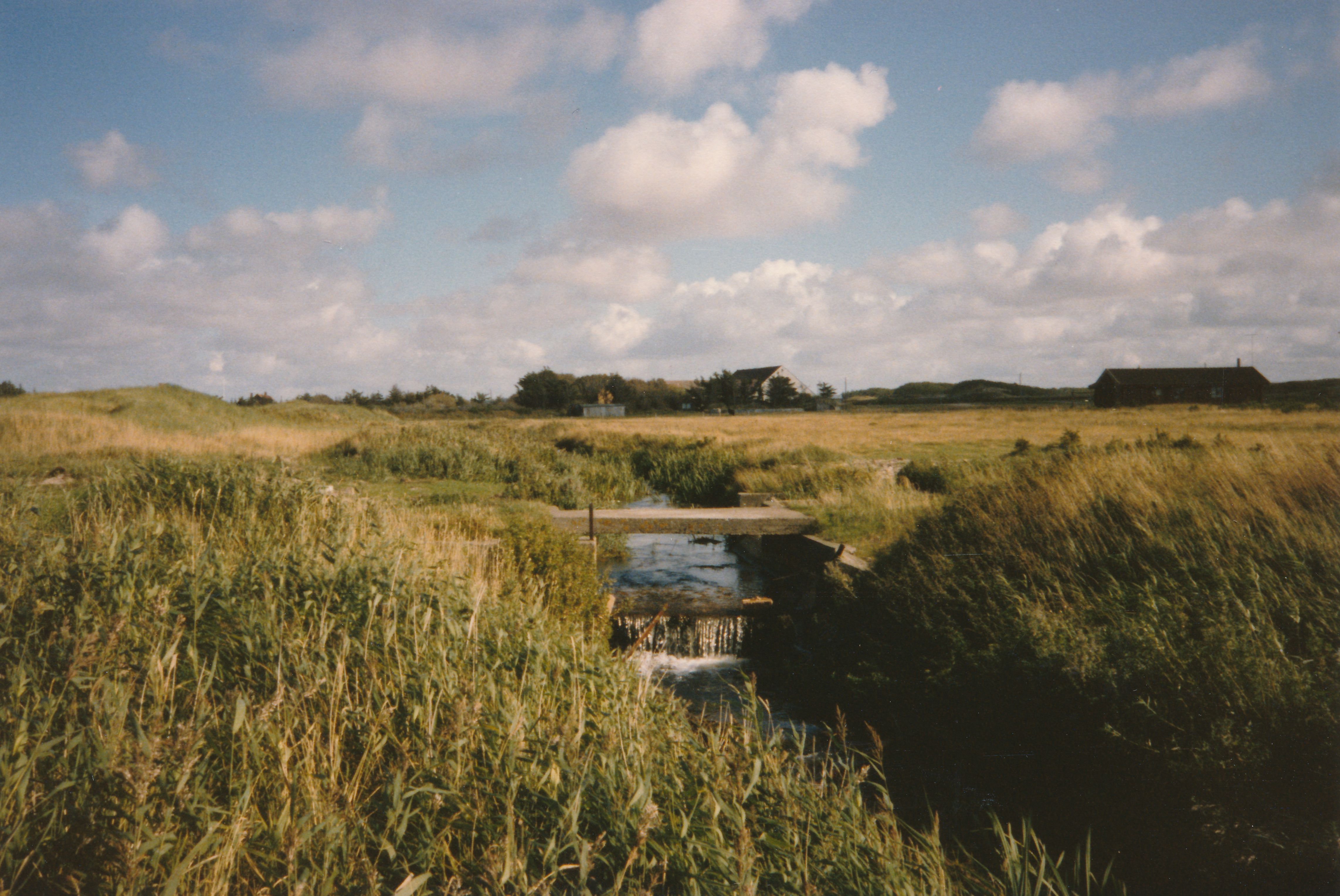 Matrnr 36 Faldet