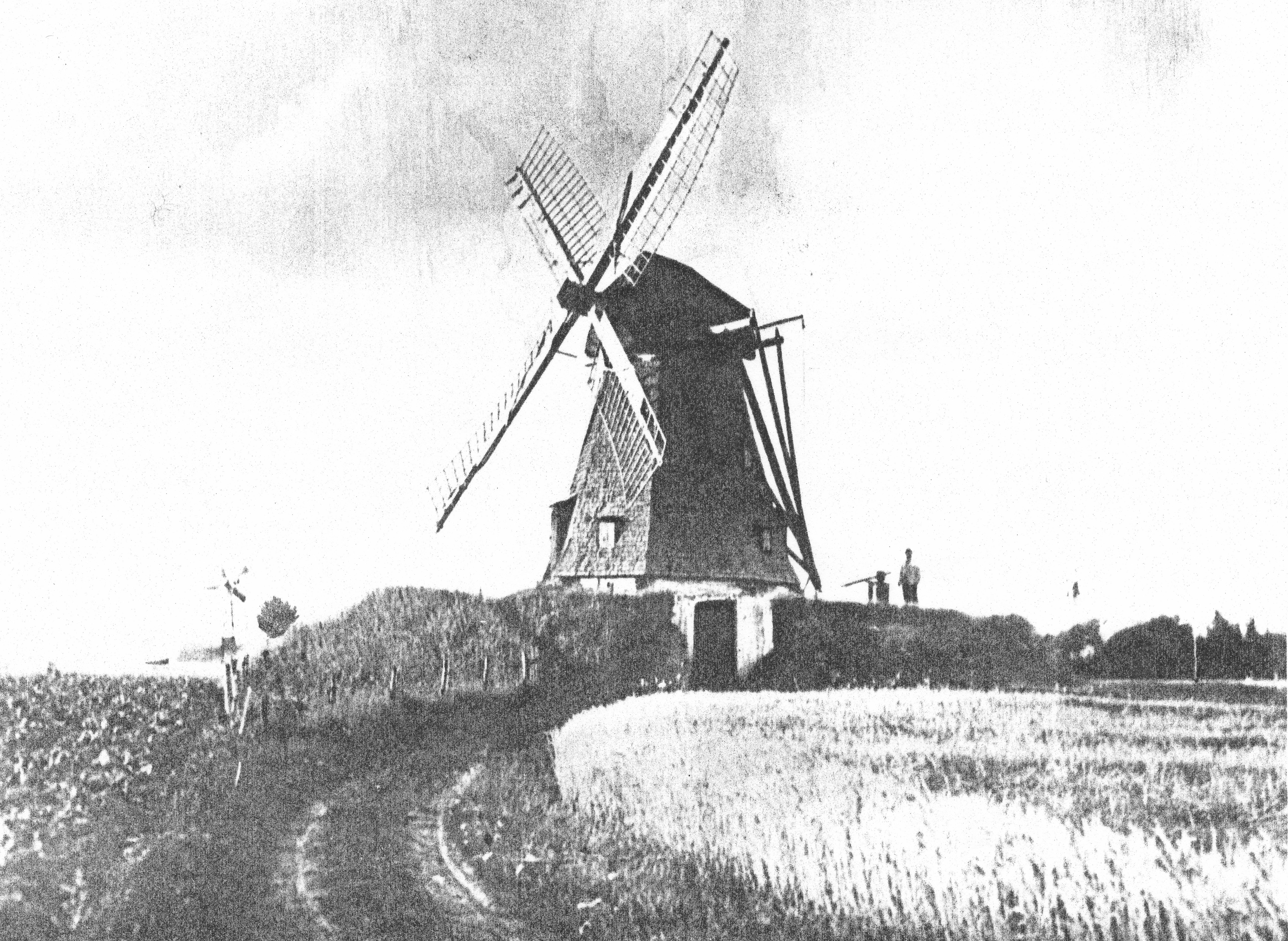 Matrnr 36 Vejrmølle