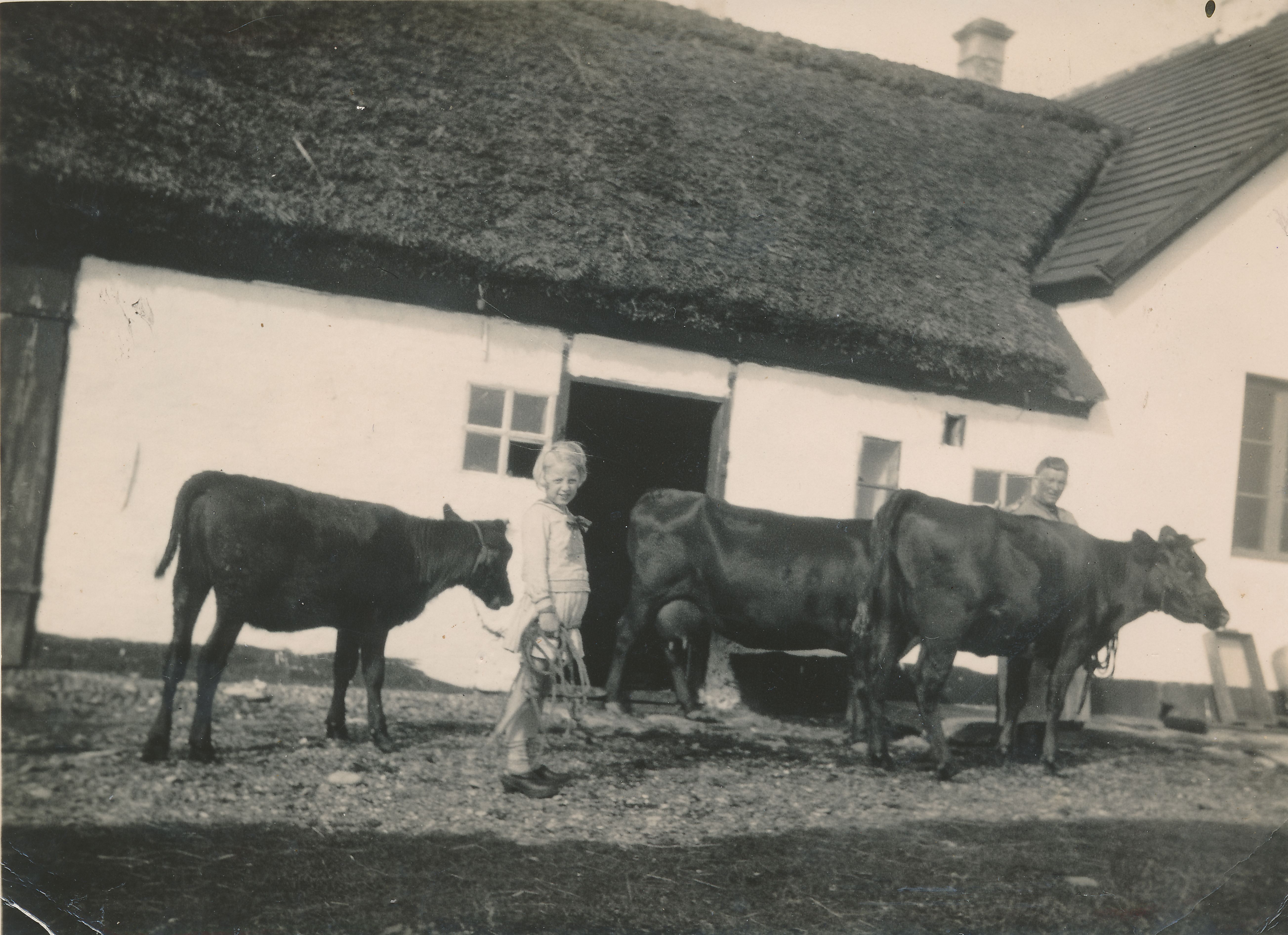 Matrnr 37 Ane Kirstine Odder vander kerne