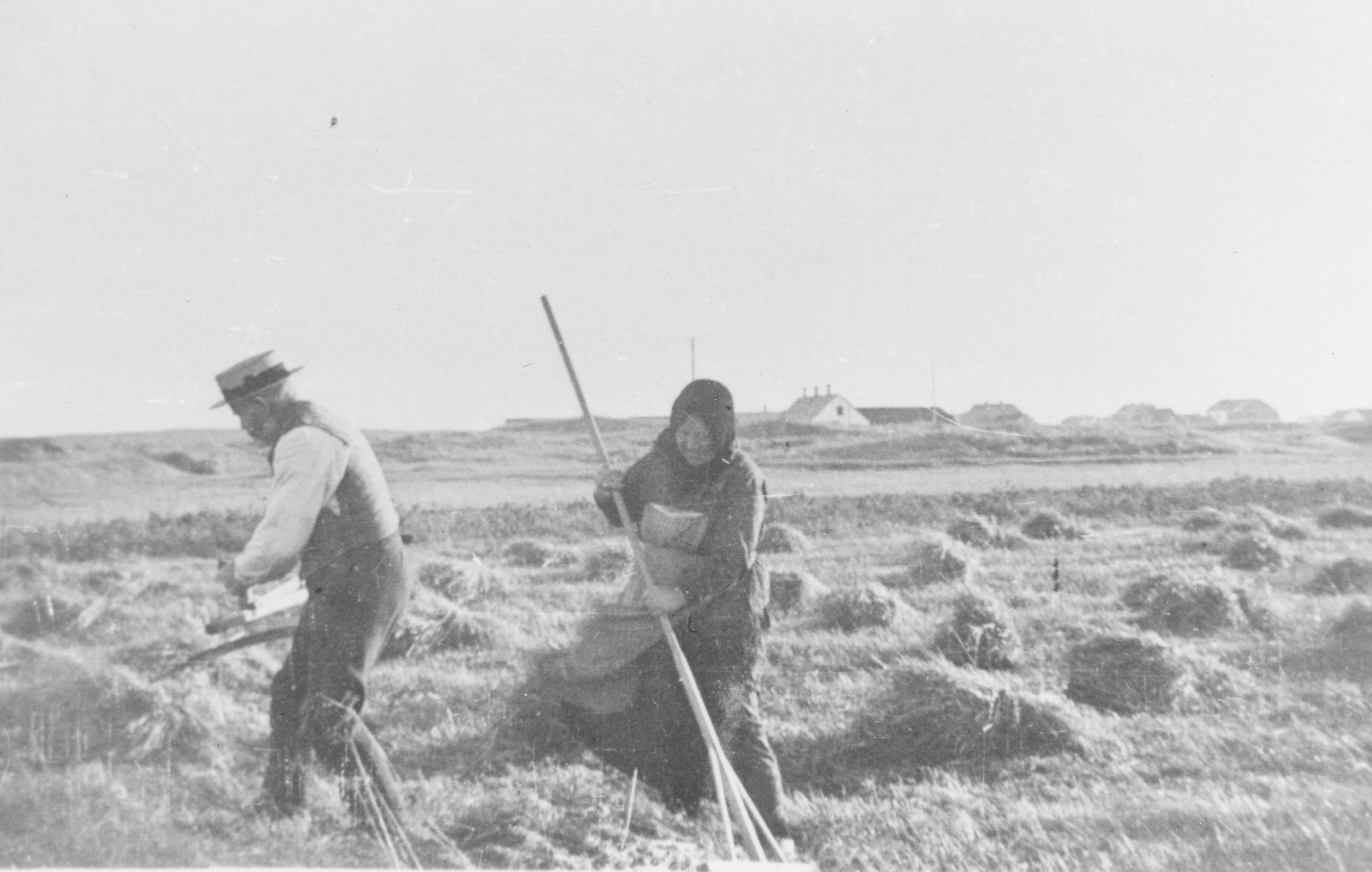 Matrnr 44 Julius Lyhne Andersen og Ane Marie Mortensen hster