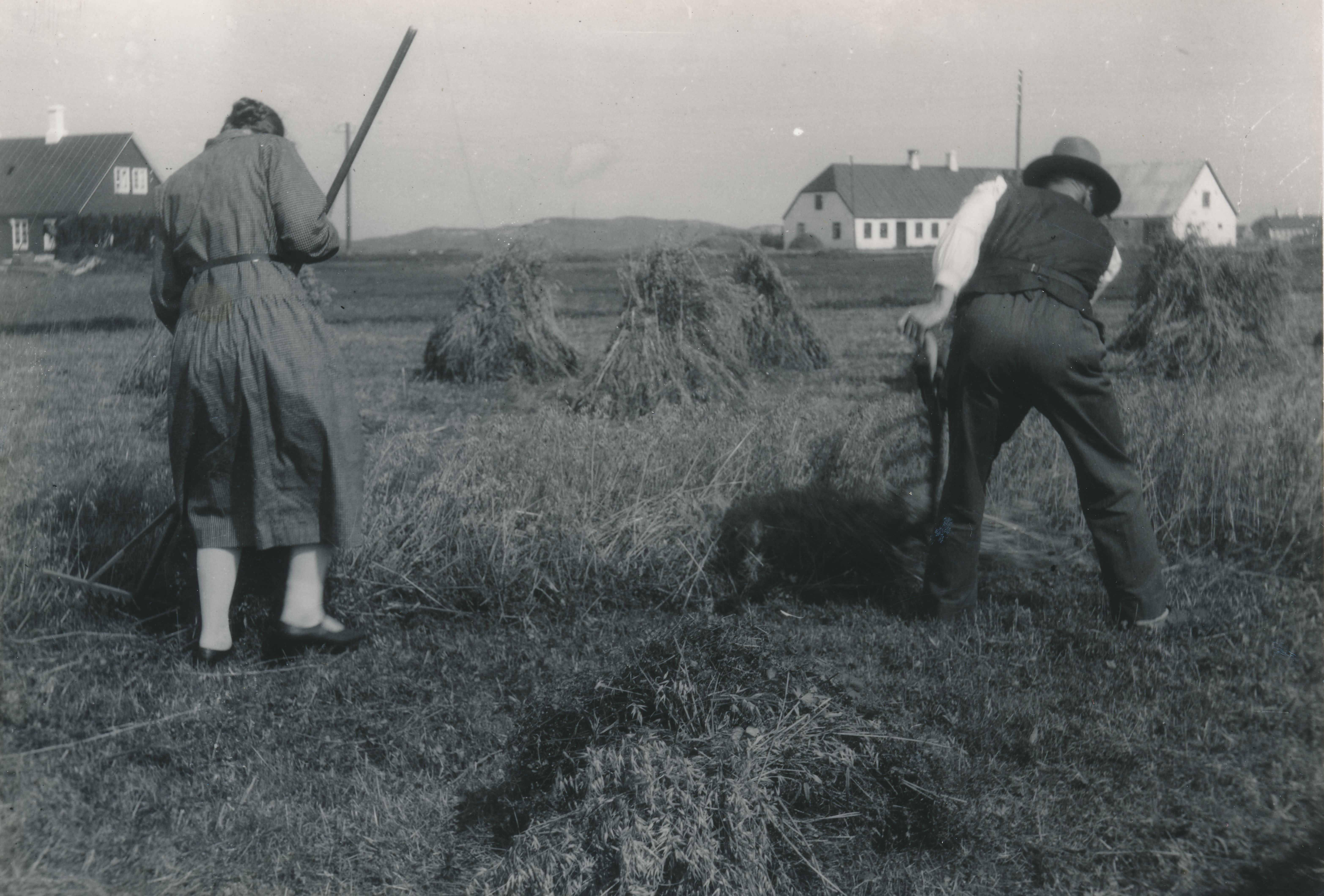 Matrnr 52 Til hjre huset set fra vest i 1930