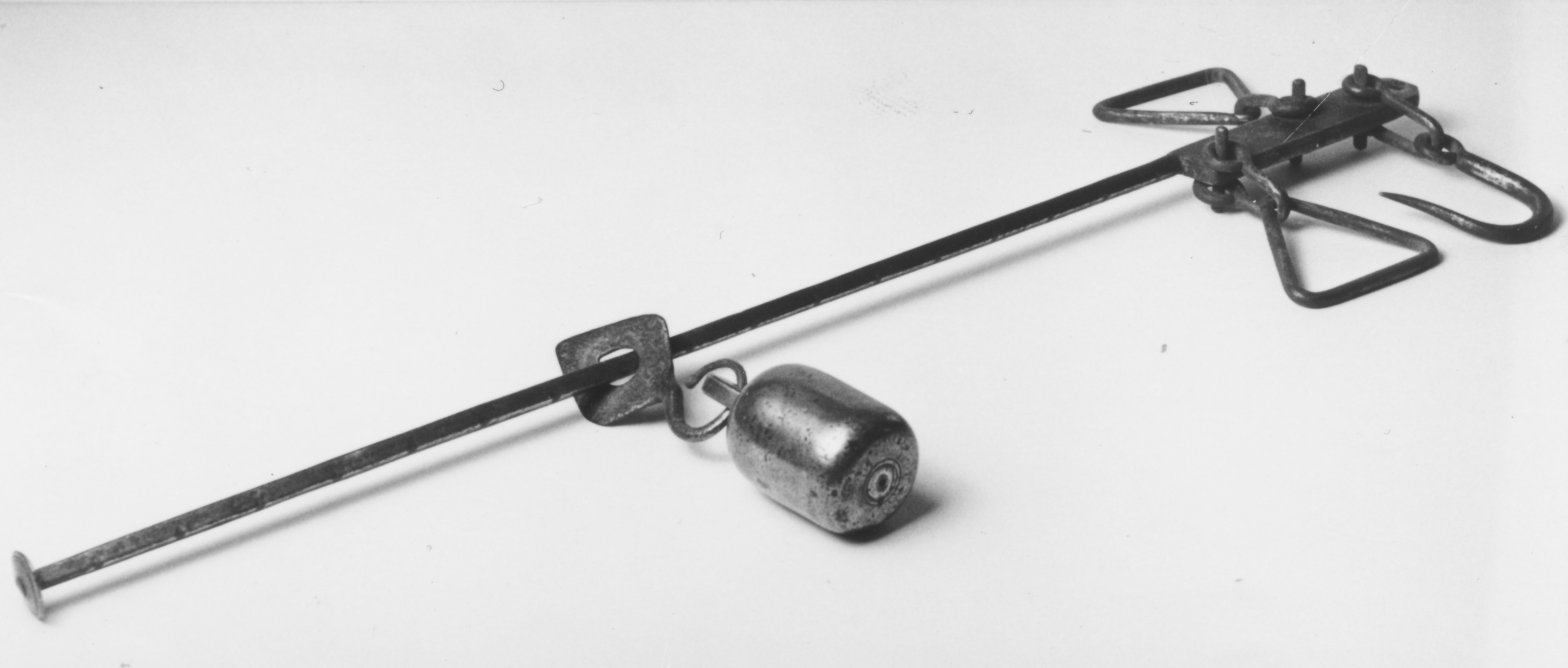 016 Matrnr 54 Bismervgt