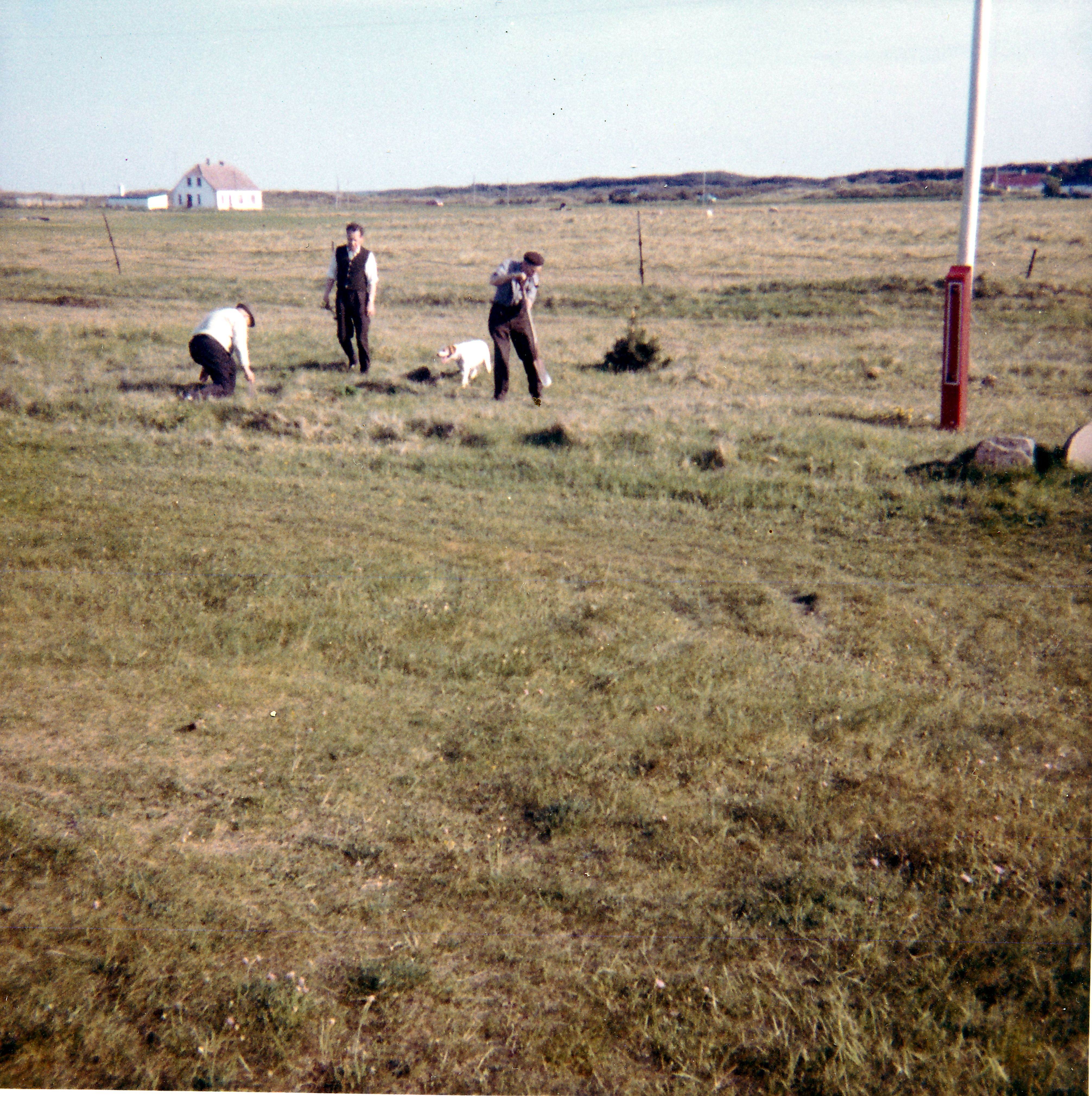 021 Matrnr 54 Ca 1955 2