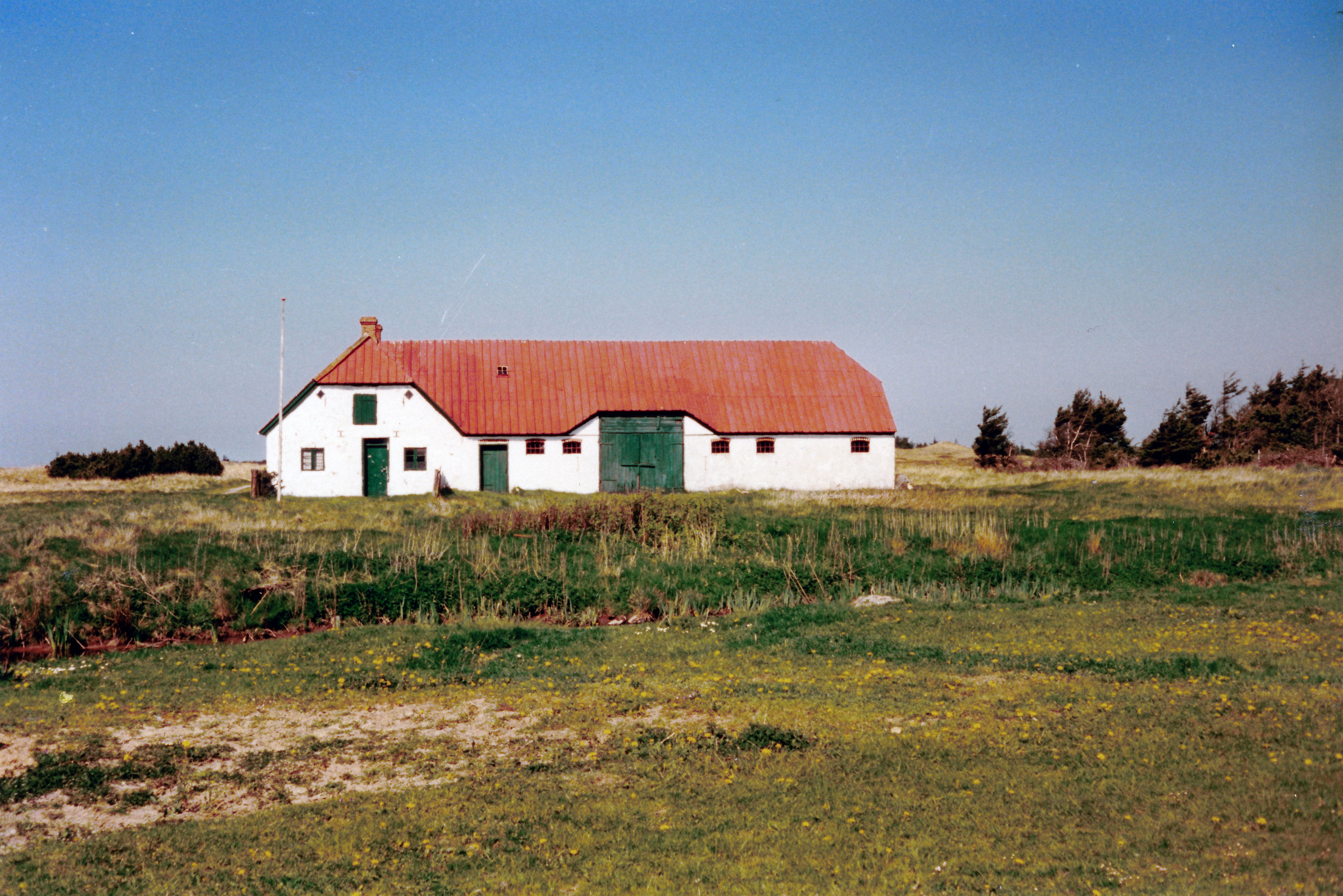 Matrnr 67 1990