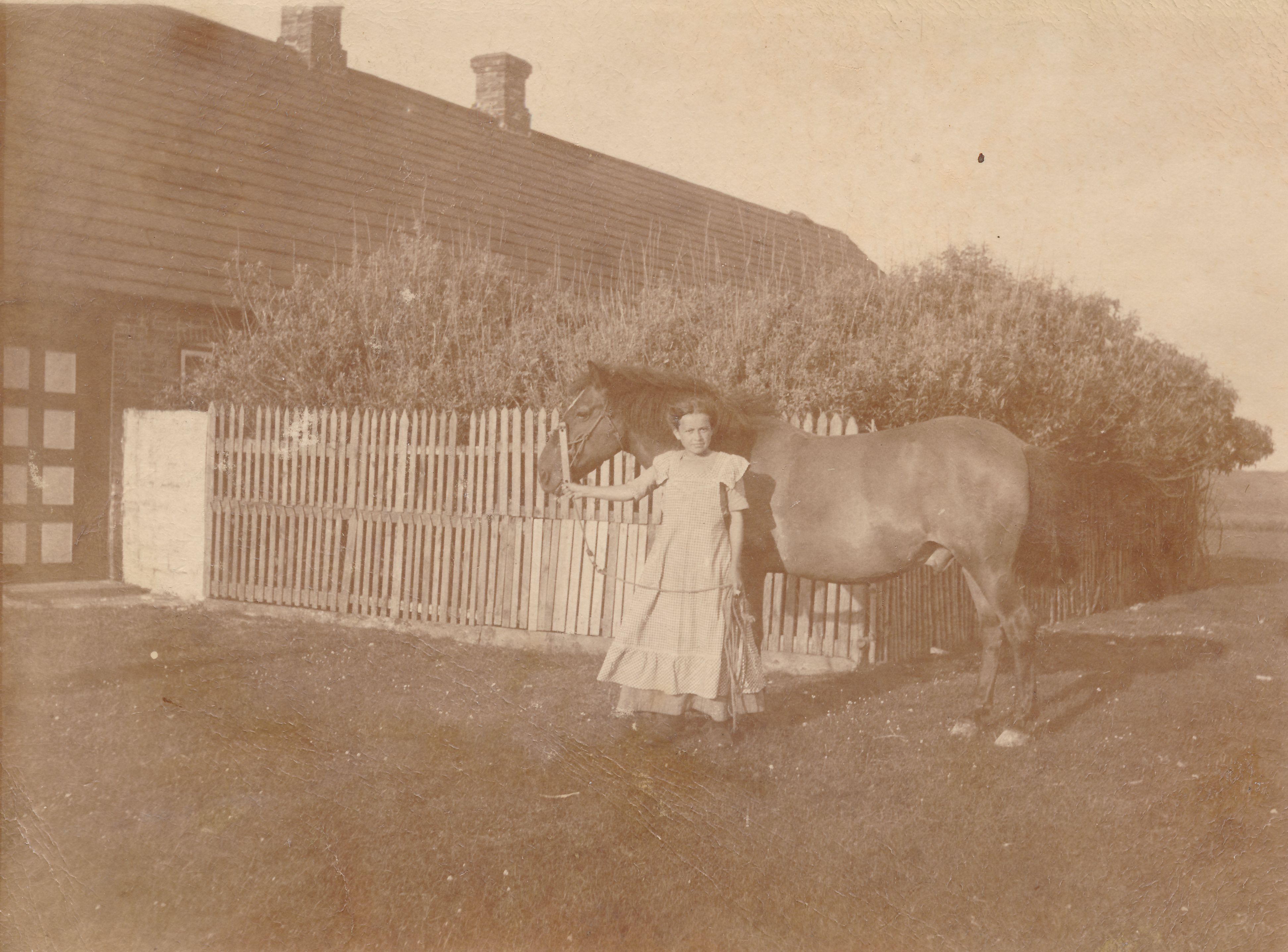 Matrnr 62 Set fra syd o 1915