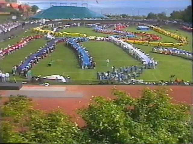 1989 festival