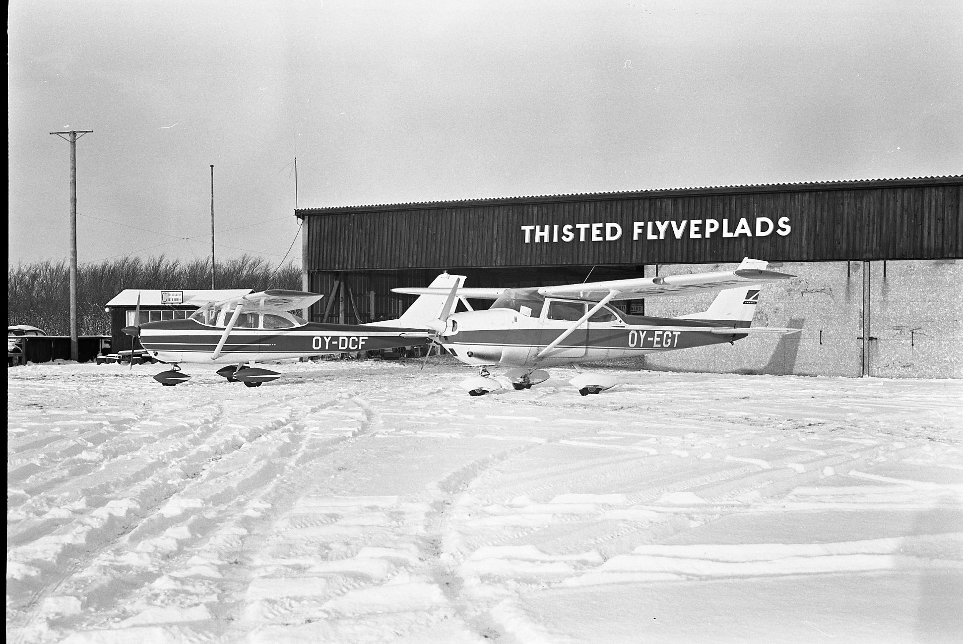 steff 397_3.jpg